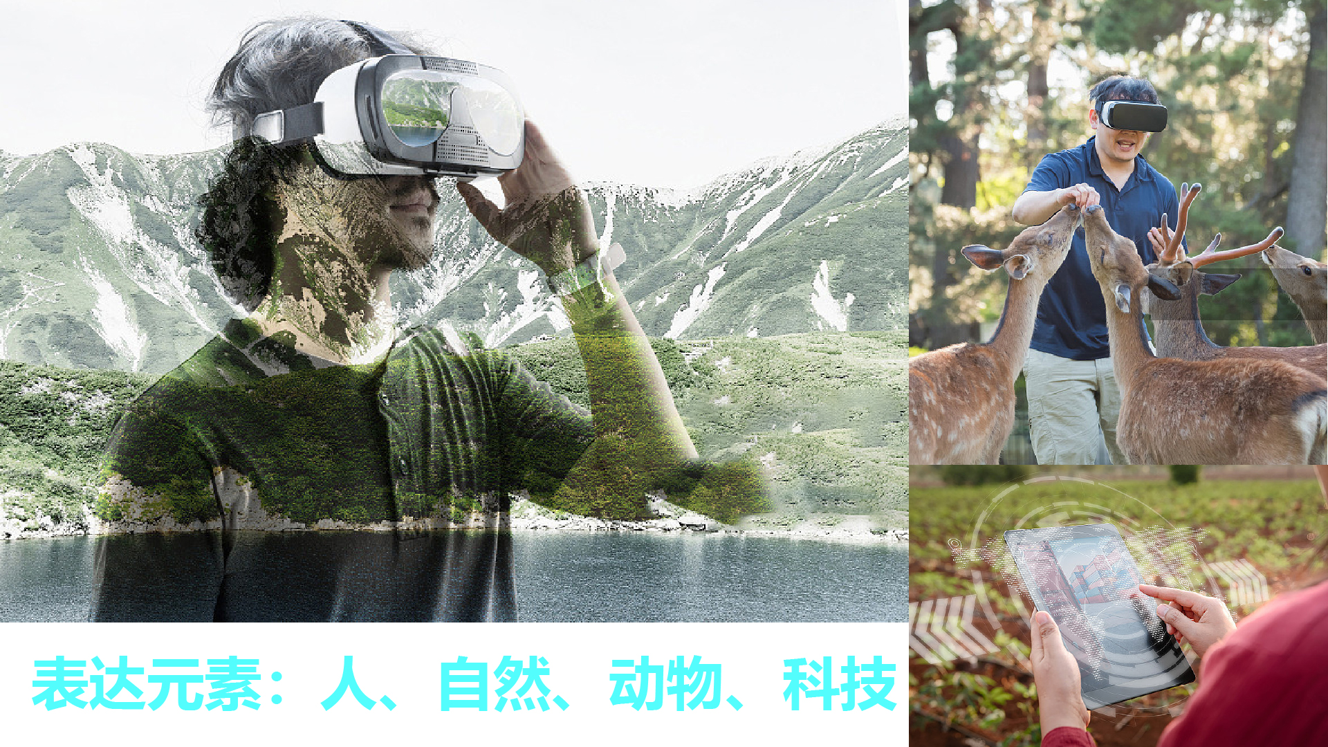 画板 20.jpg 画板 20.jpg