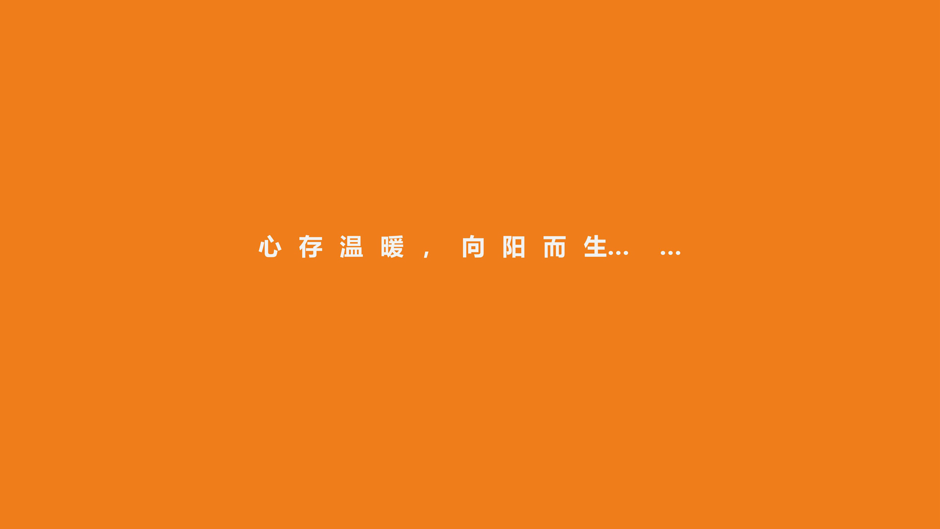 红方设计-维丝秀养发品牌设计整理-L_30.jpg