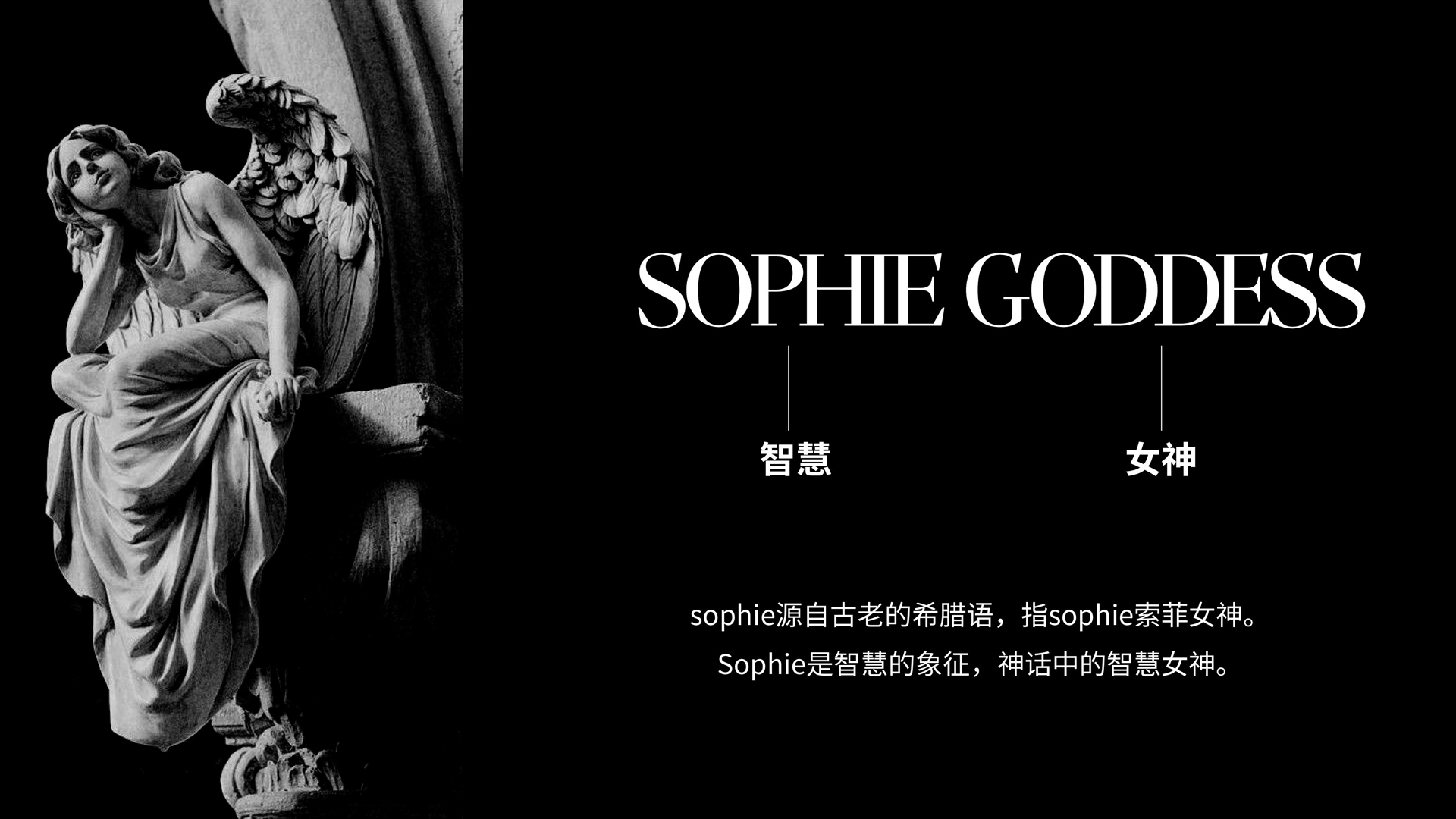 红方设计－索菲女神女鞋品牌形象设计-整理_13.jpg