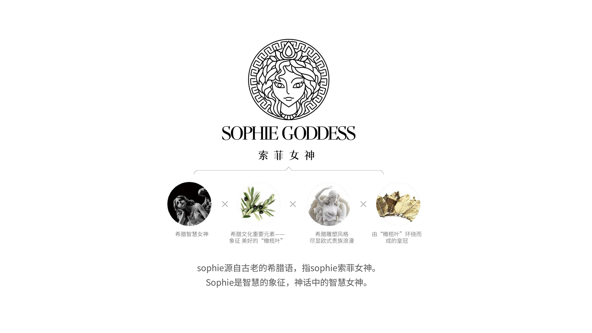 红方设计－索菲女神女鞋品牌形象设计-整理_15.jpg