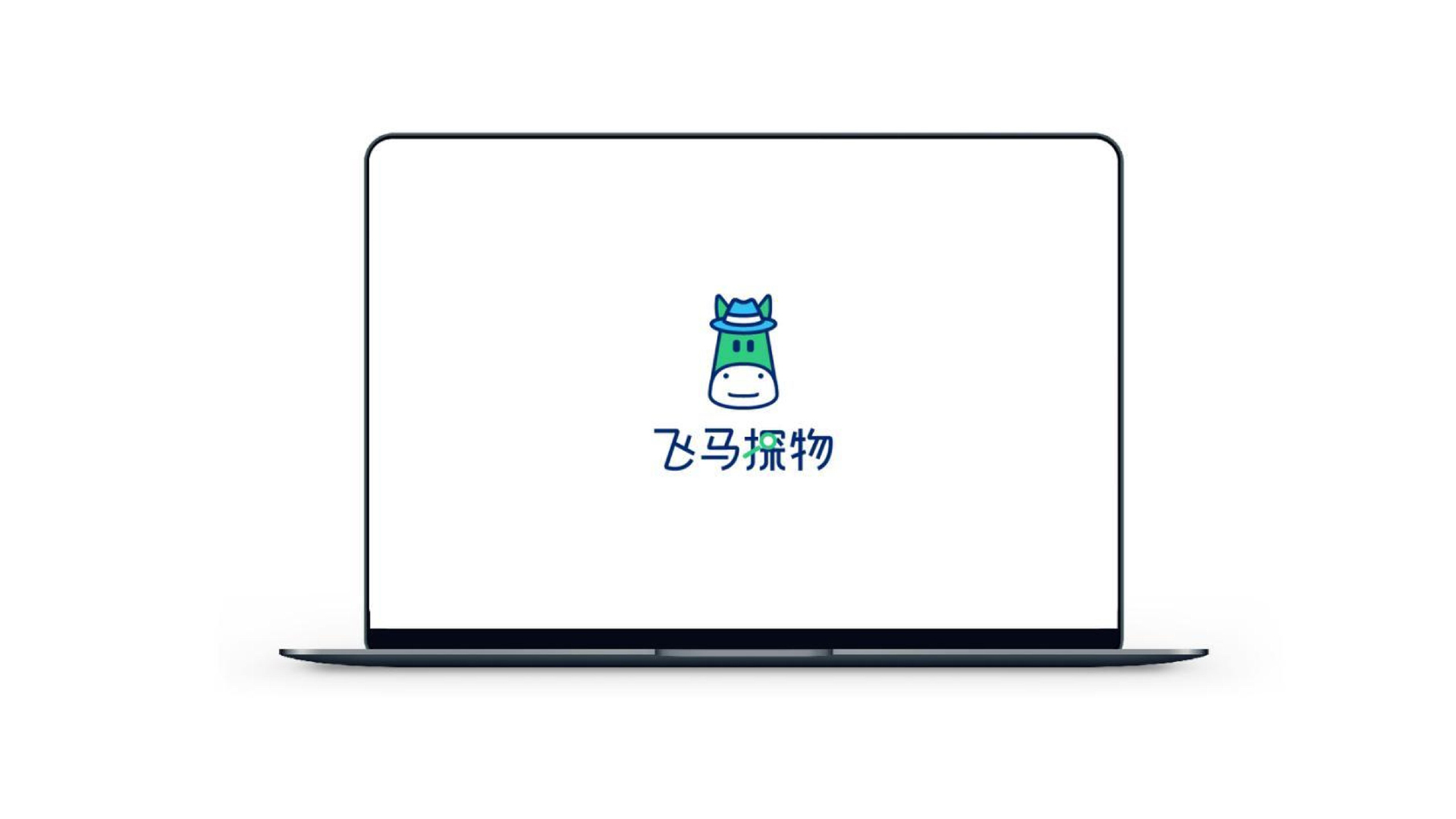 “飞马探物“品牌形象设计-整理_28.jpg