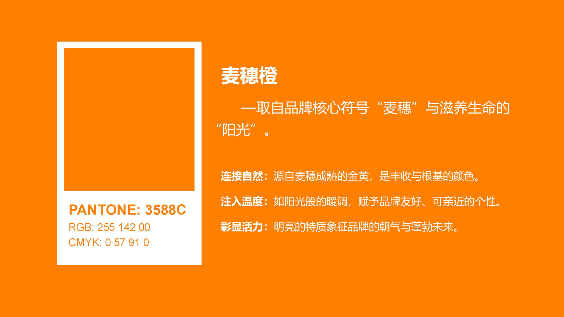 红方设计-伊麦发鞋履品牌全案设计-ok_43.jpg