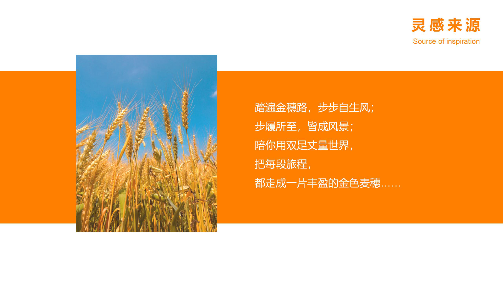 红方设计-伊麦发鞋履品牌全案设计-ok_38.jpg